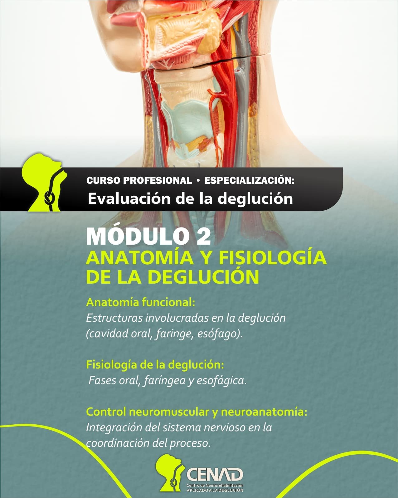 Módulo 2: Anatomía y Fisiología